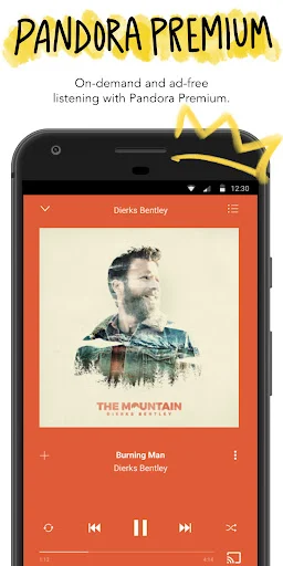 Pandora Music & Podcasts: O Seu Streaming de Música Personalizado - Screenshot 6