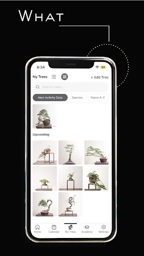 Mirai Mobile: Seu Guia Completo de Bonsai – Especialista Ryan Neil - Screenshot 8
